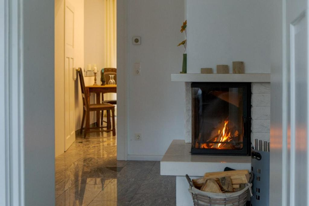 Villa Elbufer Bad Schandau Zewnętrze zdjęcie