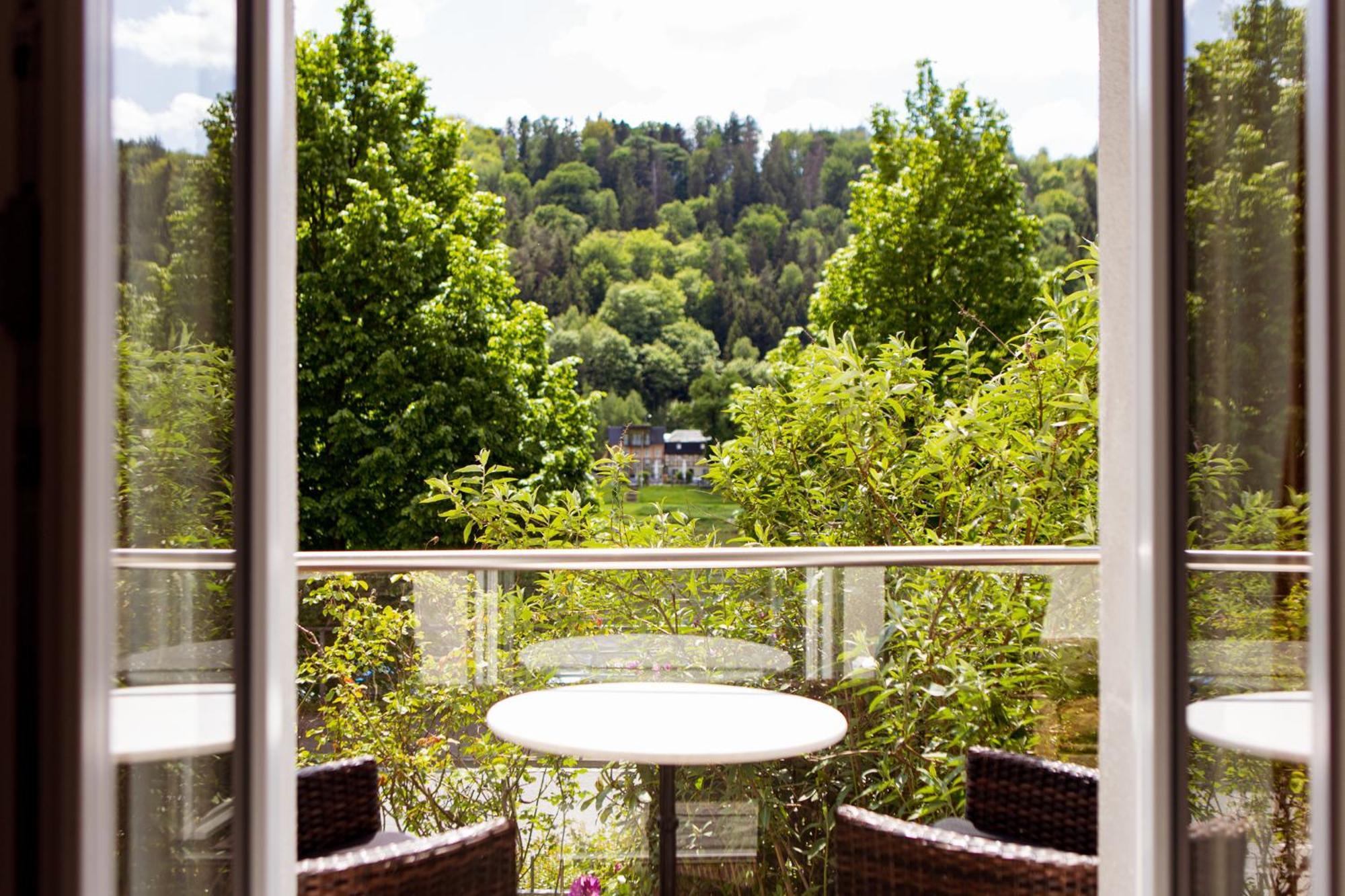 Villa Elbufer Bad Schandau Zewnętrze zdjęcie